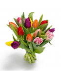 Happy Tulips 15