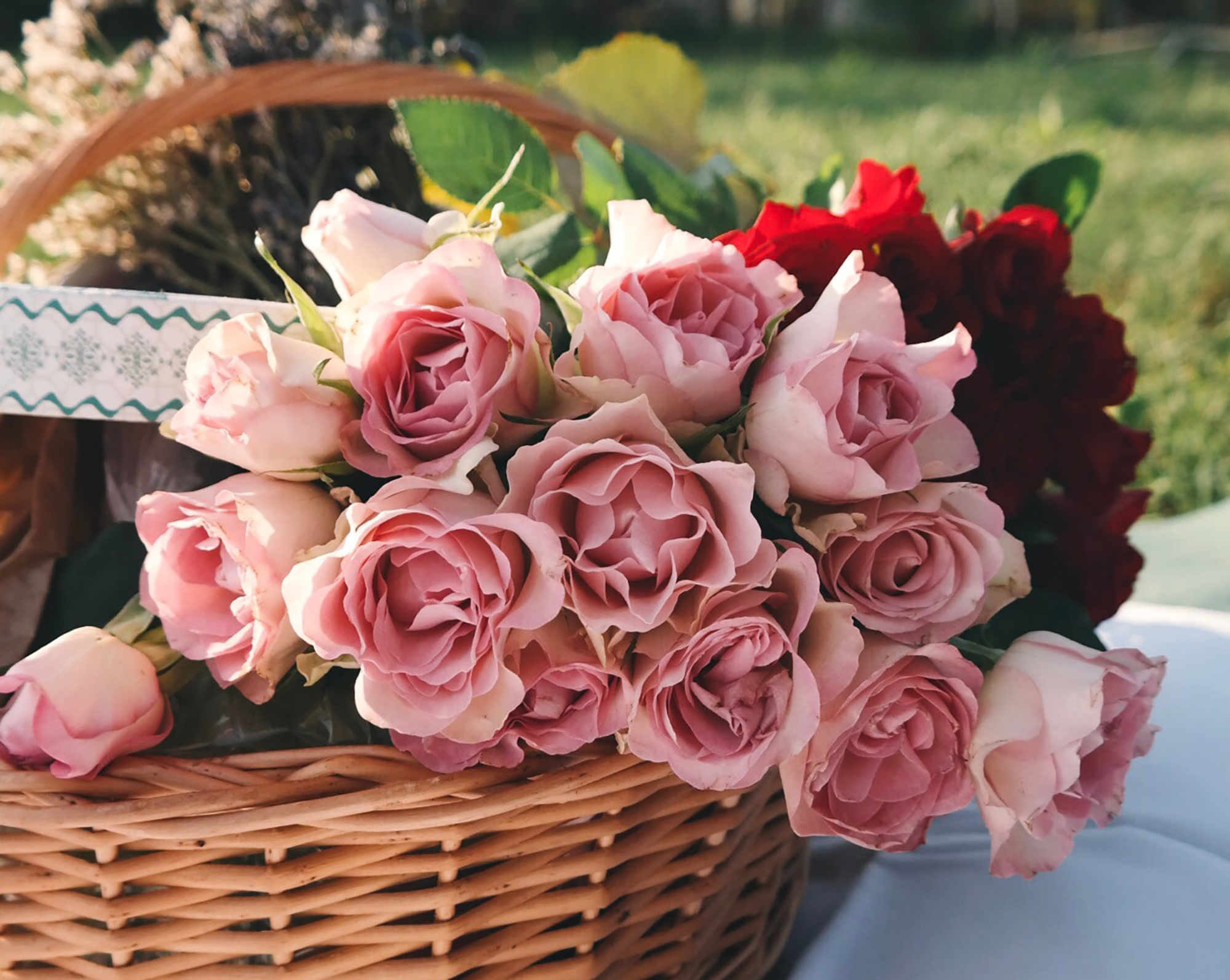 Como Conservar Una Flor Natural Mundo Luxury Roses To Love