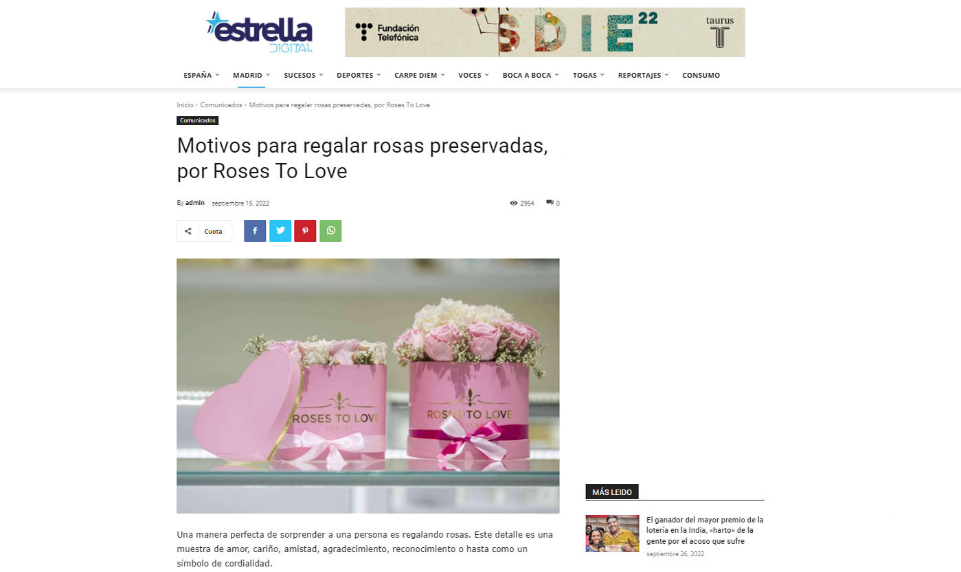 Rosas preservadas de Roses to love