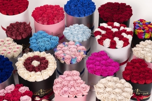 Conjuntos de rosas preservadas
