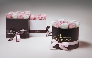 Regala rosas preservadas por San Valentín