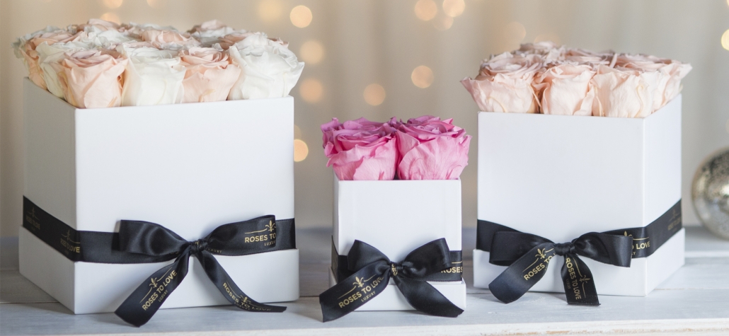 Comprar rosas eternas