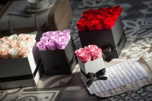 Flores preservadas