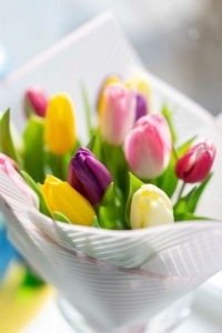 Cromoterapia de las flores