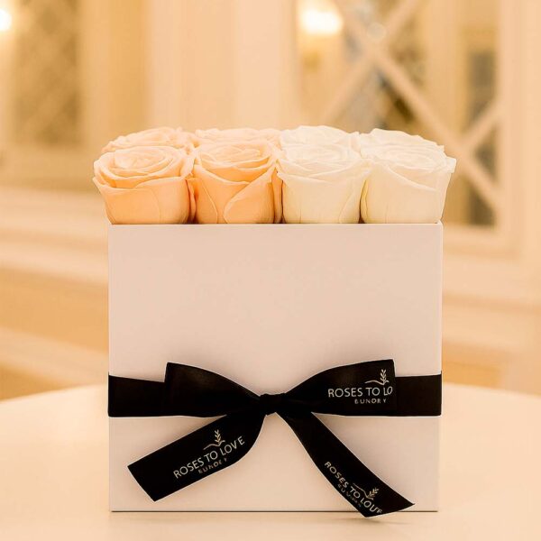 Rosas eternas colección París (2 colores)