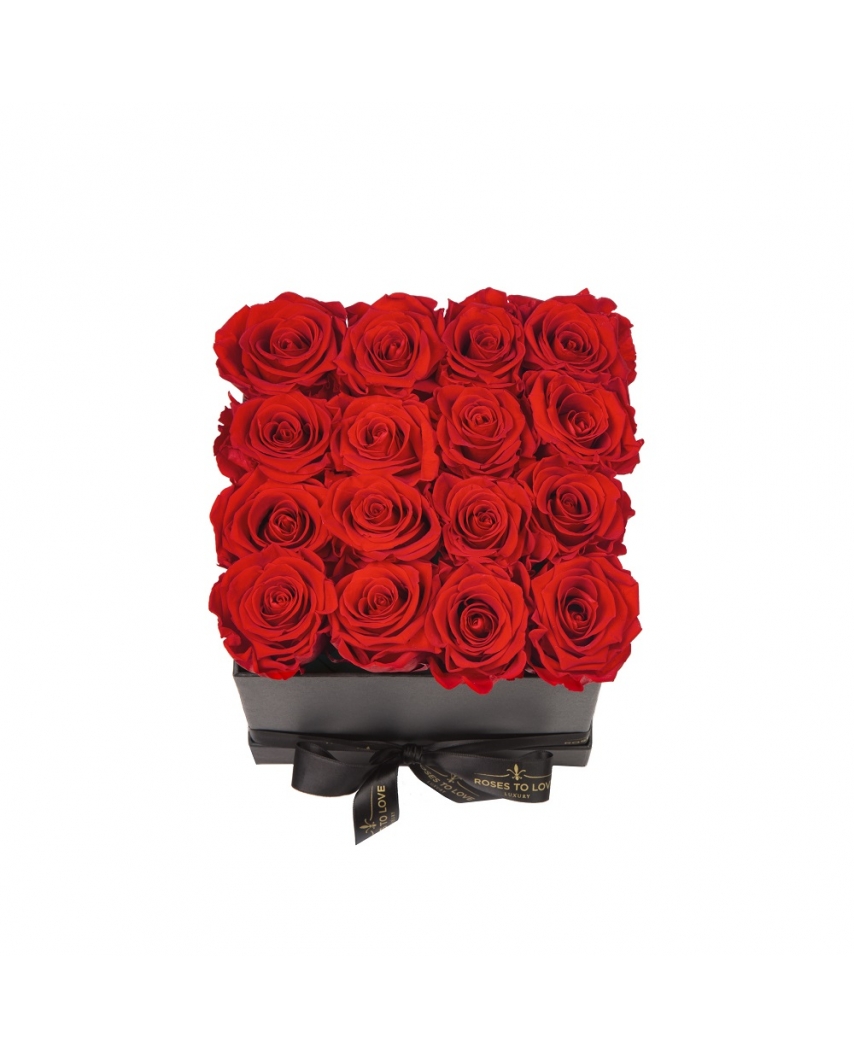 paris-negro-1-color (1)