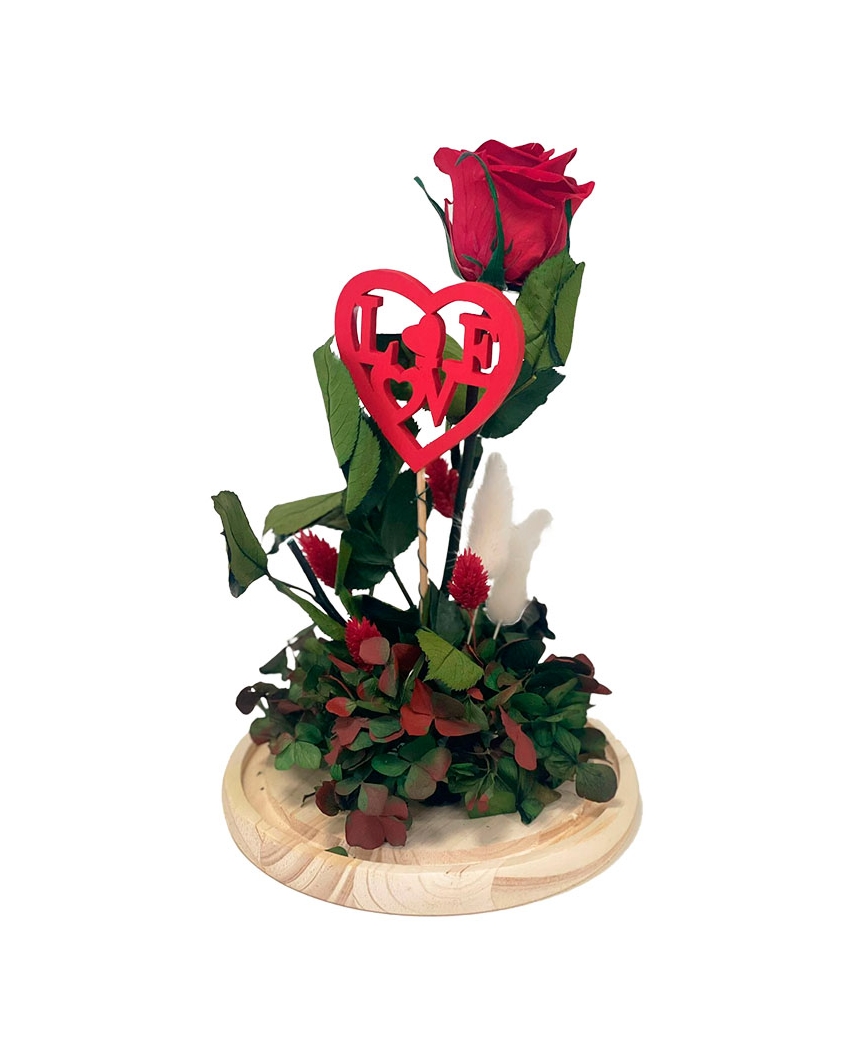 rosa-eterna cúpula grande