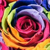 rainbow