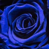 azul eléctrico