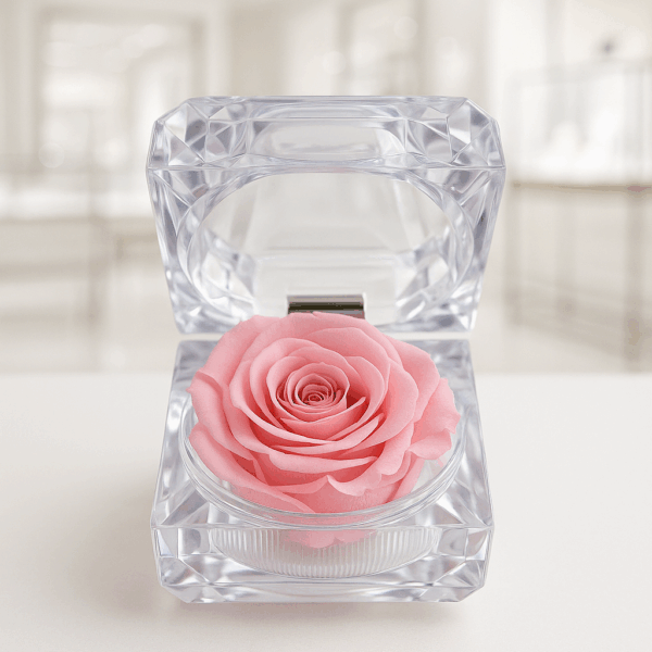 Rosa Essenza Rosa