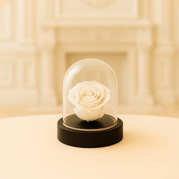 Cúpula mini Blanca