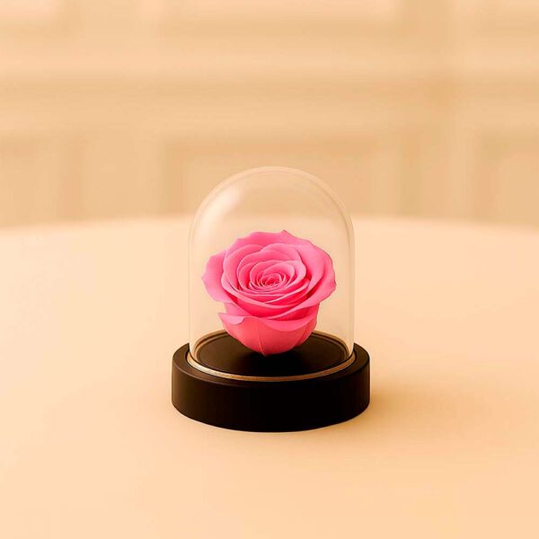 Cúpula mini Rosa