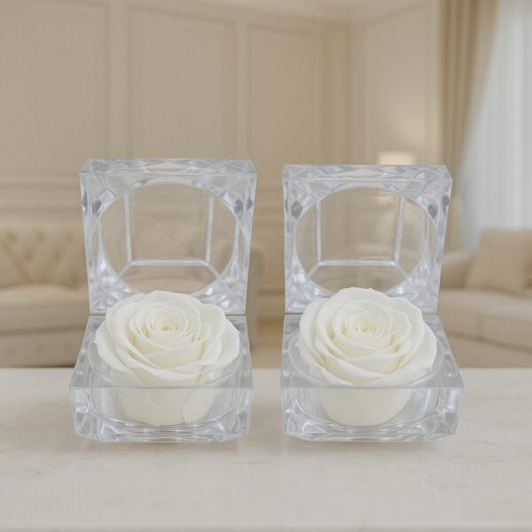 Pack Rosa Essenza Blanca