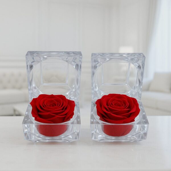 Pack Rosa Essenza Roja