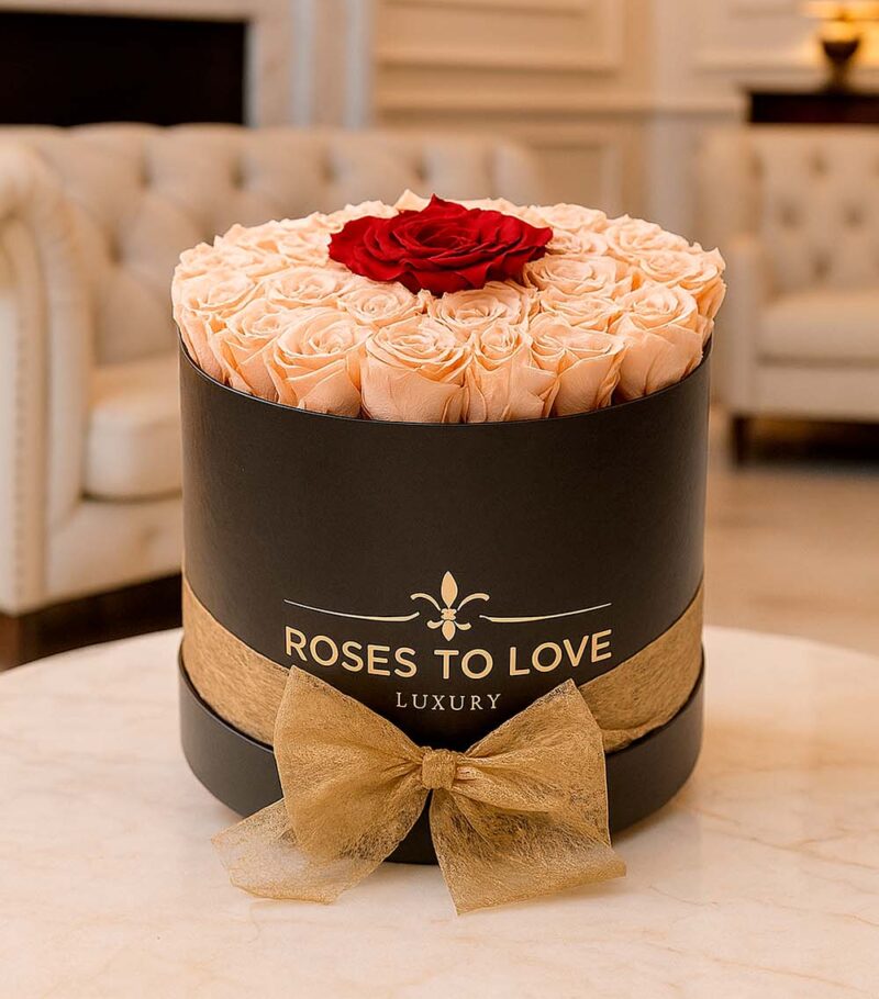 Rosa Exclusive negro