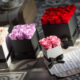 flores preservadas online
