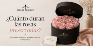 ROSAS PRESERVADAS