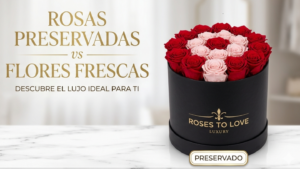 roses to love, rosas preservadas de alta calidad