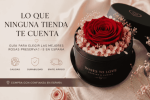 rosas preservadas