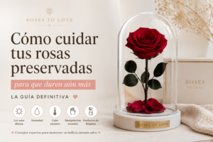 como cuidar tus rosas preservadas