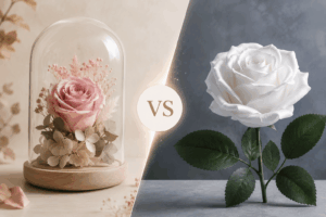 comparativa de flores