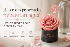rosas preservadas