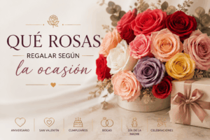 cuando regalar rosas preservadas