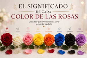 lo que significa el color de la rosa