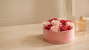 regalar rosas preservadas