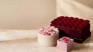 rosas preservadas 2026
